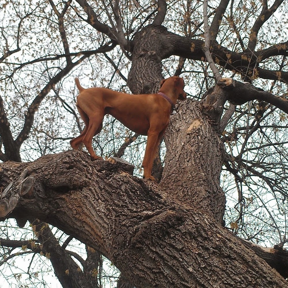 Meet your Posher, Erzsi